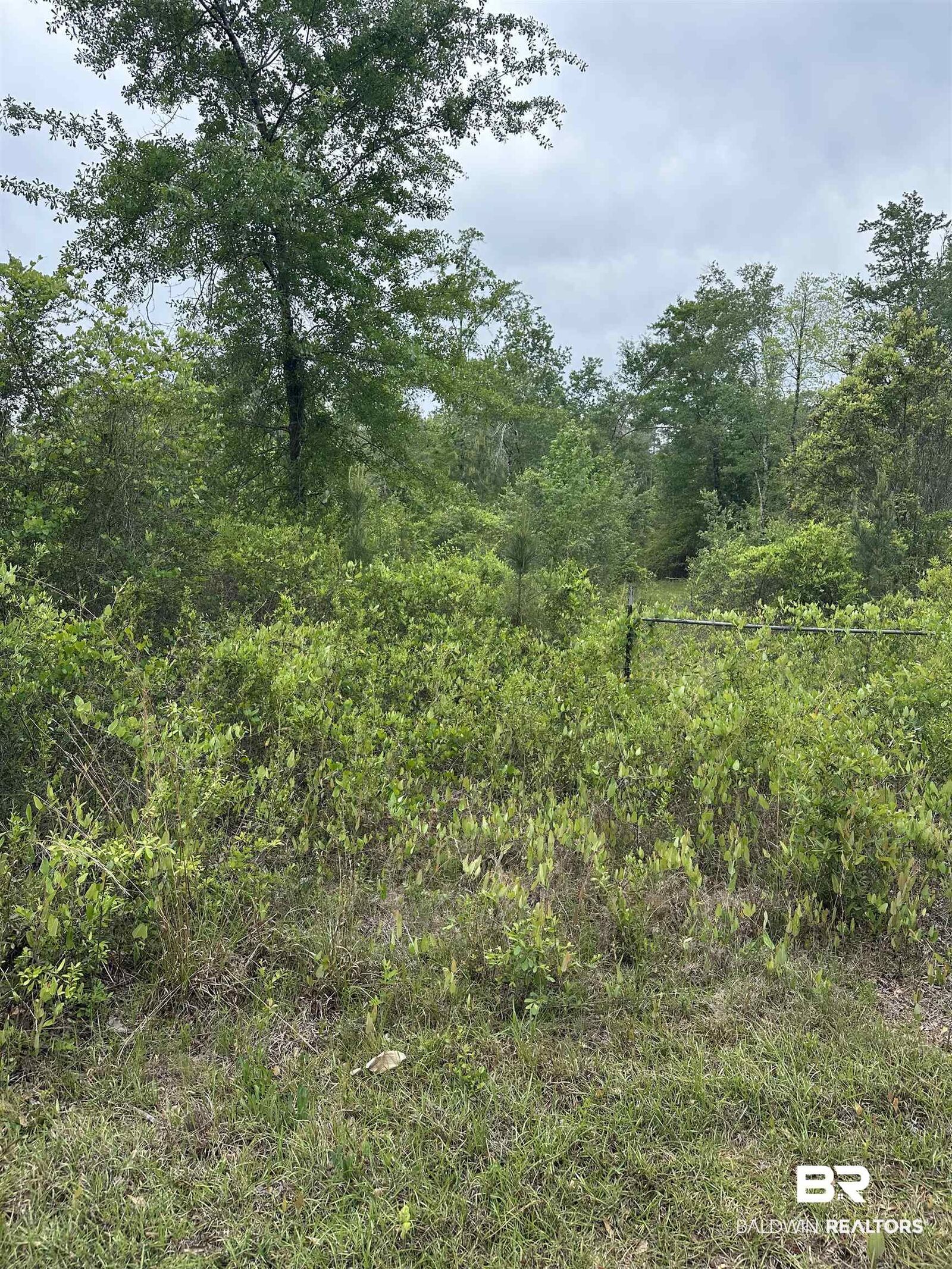 Property Photo: 0000 Propst Road AL 36507-0000