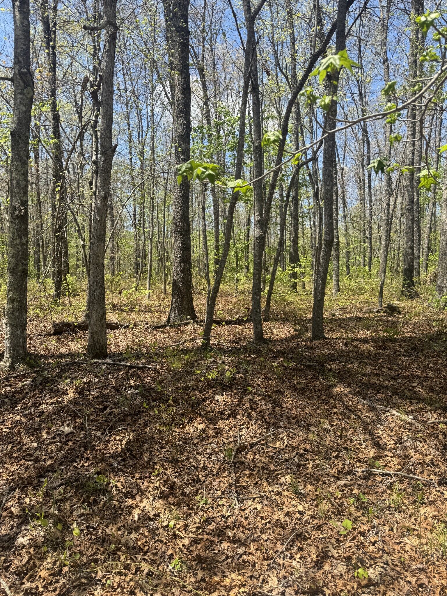Property Photo:  0 Doe Creek Lake Dr  TN 38583 