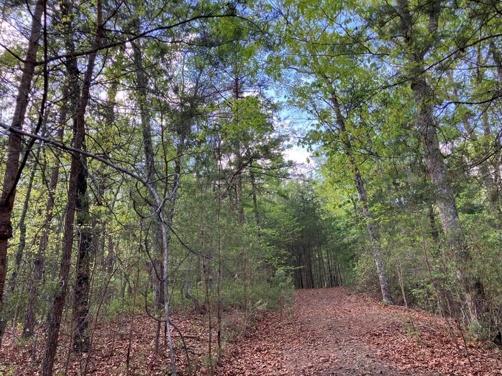 Property Photo: Lt24 Mission Ridge Court NC 28904