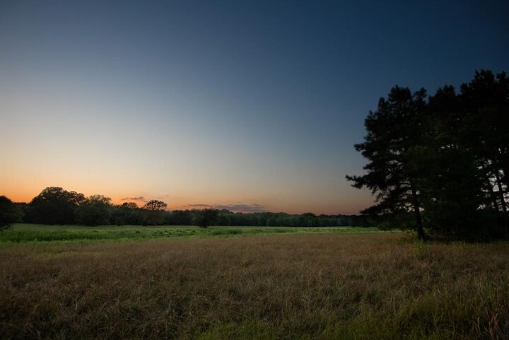 Property Photo:  821 Gorman Oaks  TX 75755 
