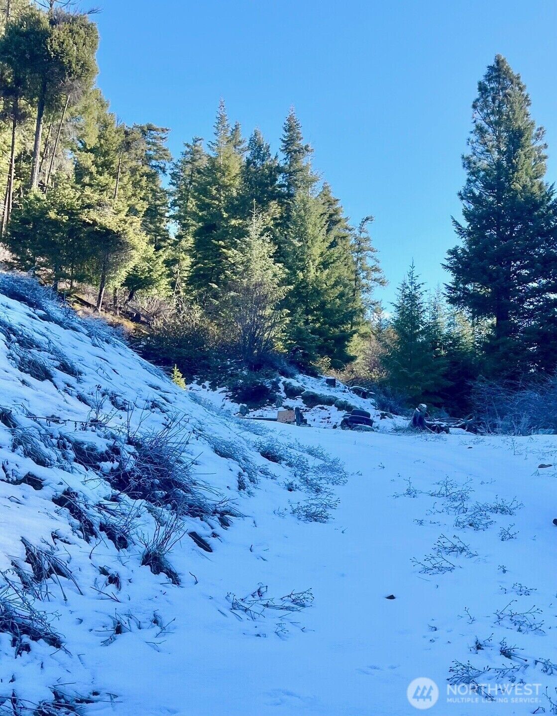 Property Photo:  0  Red Top Rd  WA 98922 
