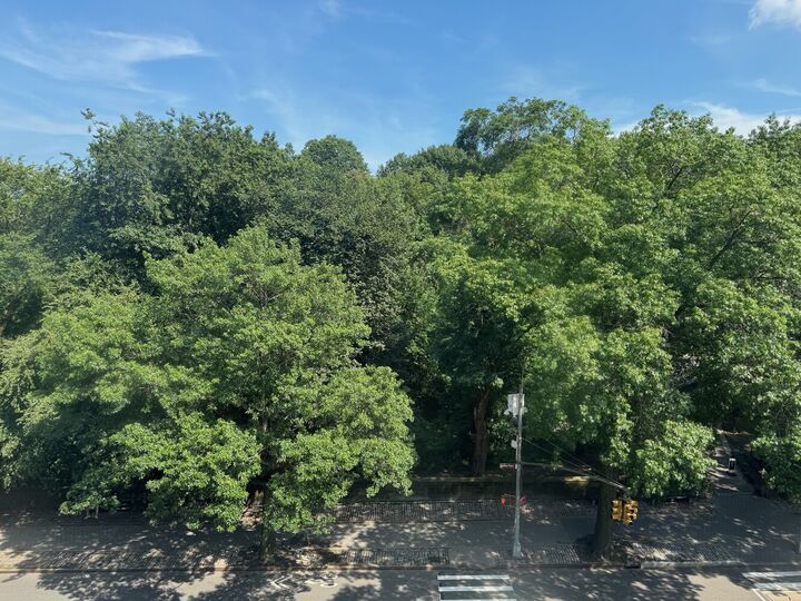 Property Photo:  478 Central Park W 5B  NY 10025 