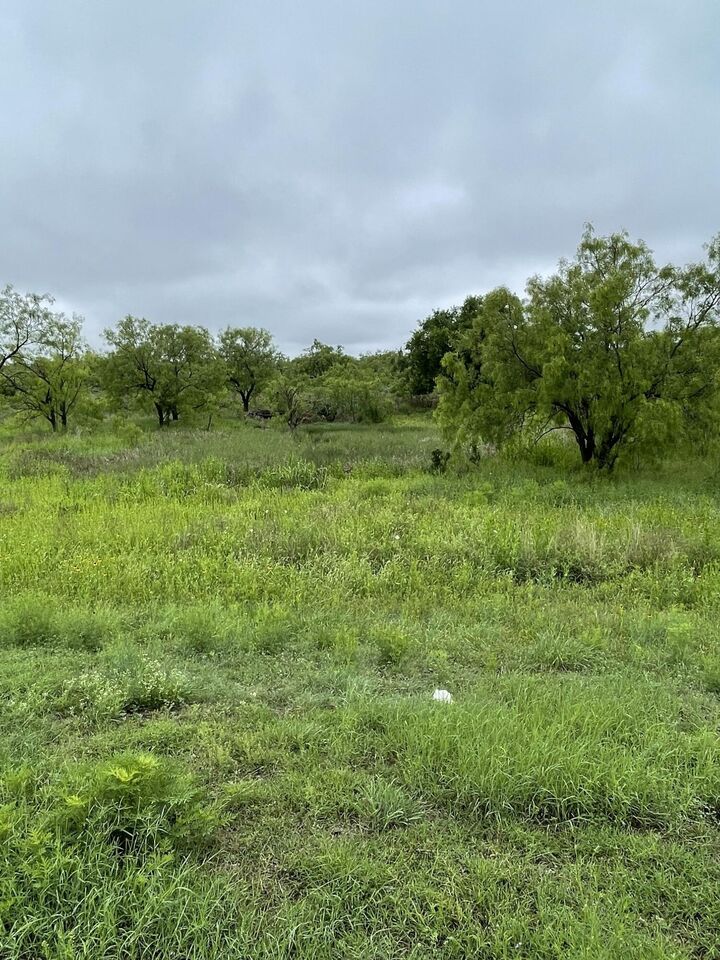 Property Photo:  501 Lake View Heroes Drive  TX 76903 