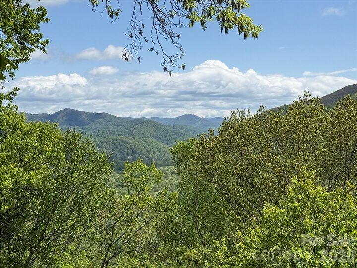 Property Photo:  208 Buckeye Road  NC 28751 