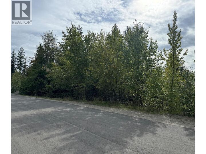 Property Photo:  Lot 389 Anglemont Way  BC V0E 1M8 