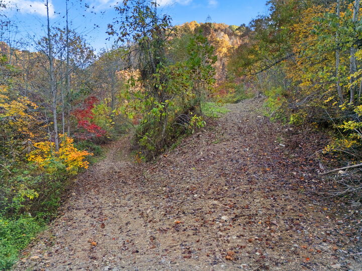 Property Photo:  9992 S Ky-11  KY 40962 