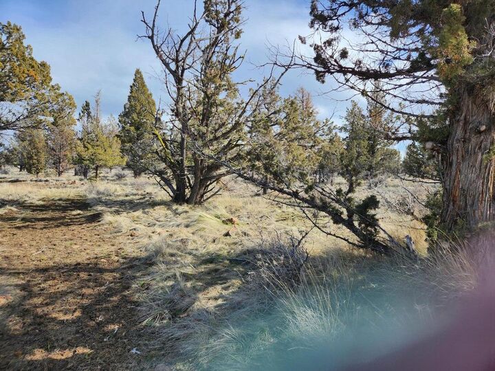 Property Photo:  300 SW Geneva Road  OR 97734 