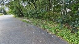 Property Photo:  22 Horman St  MA 01862 