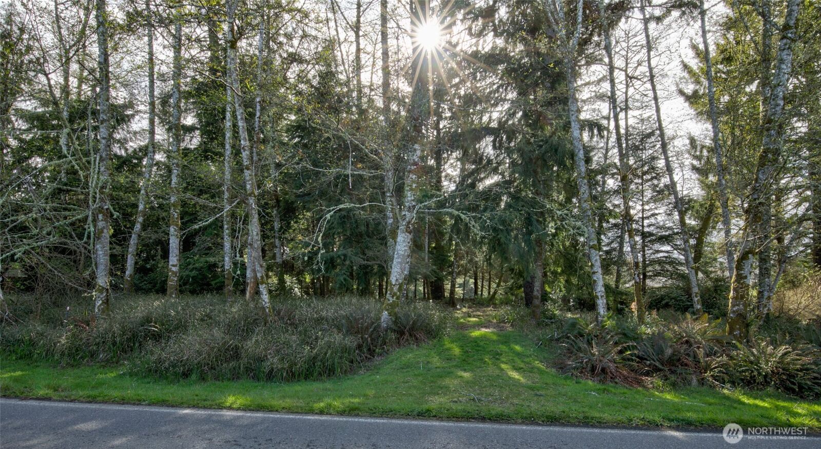 Property Photo:  189  Duck Lake Drive NE  WA 98569 