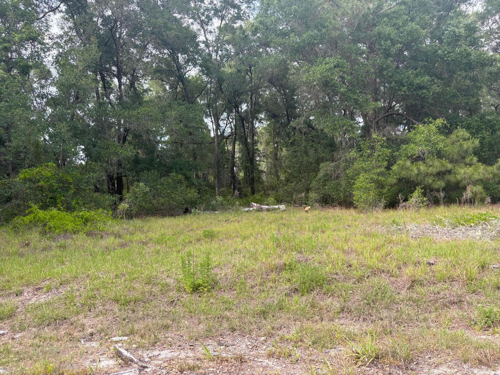 Property Photo:  Tbd Locust Drive Court  FL  