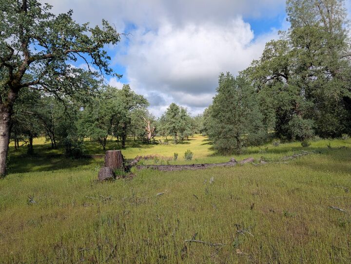 Property Photo:  Manzanoaks Drive  CA 96003 