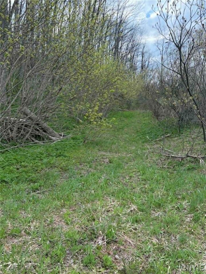 Property Photo: 2860 US Highway 11 NY 13045