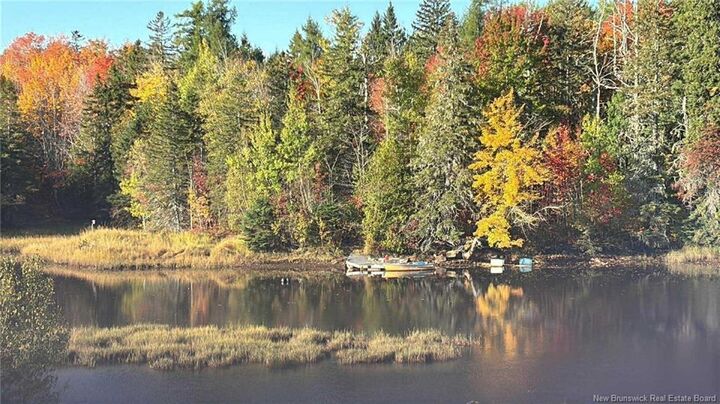 Property Photo:  -Lot A Portage River Road  NB E9A 1G9 