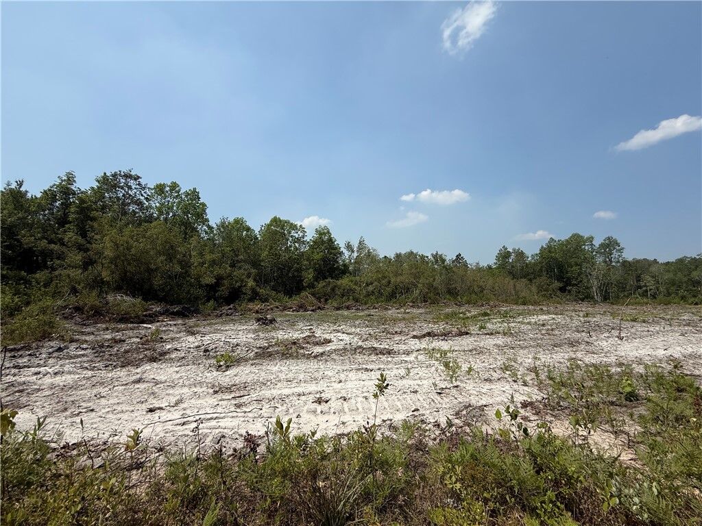 Property Photo:  0 Mineral Springs Road  GA 31566 