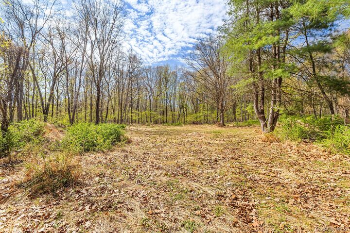 Property Photo:  224 Union Center Road  NY 12487 