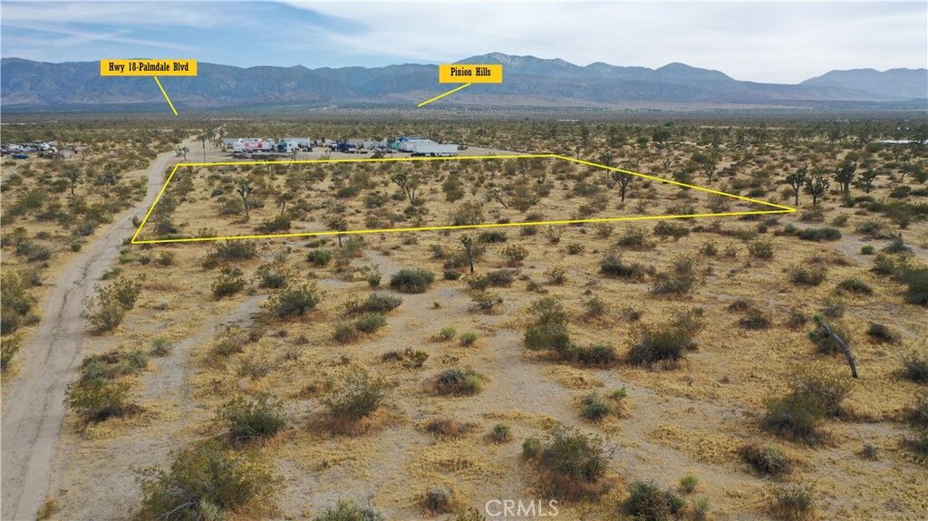 Property Photo: 0 243rd E CA 93591