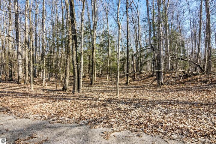 Property Photo:  #12 Aspen Trail  MI 49648 
