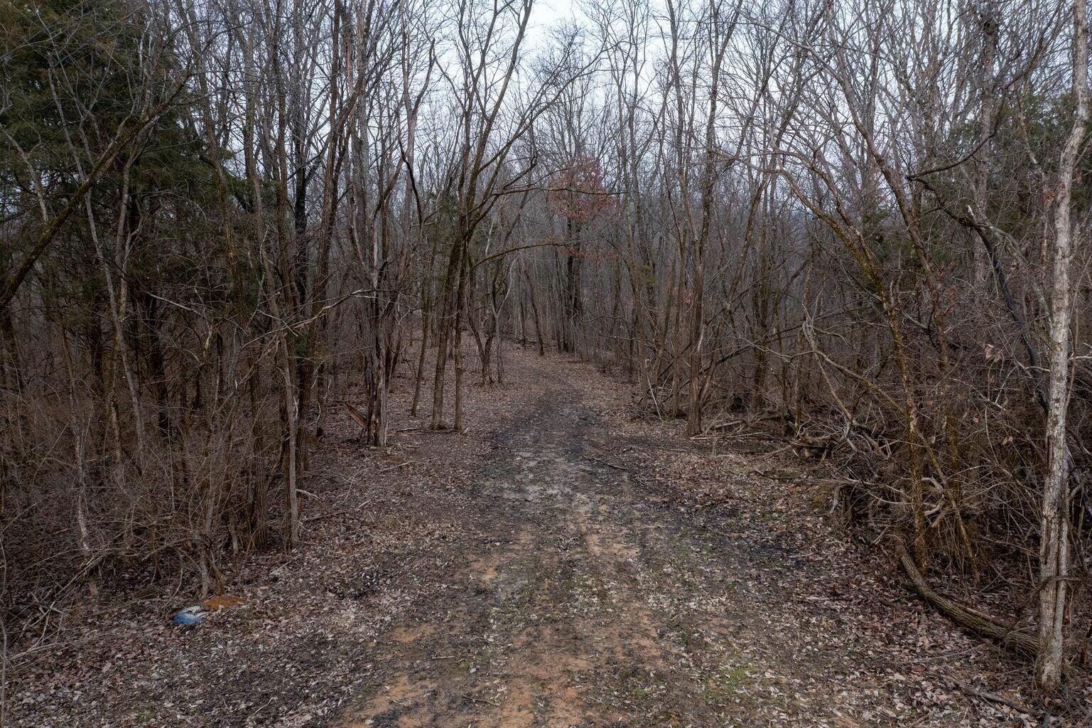 Property Photo:  0 Lawrenceville Road  KY 41097 