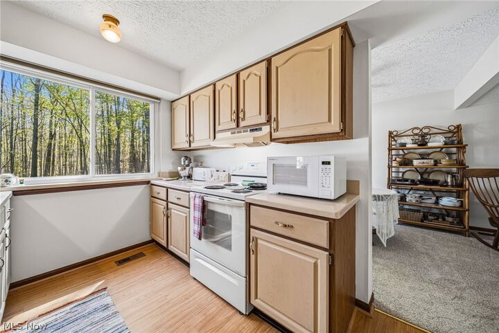 Property Photo:  6216 Center Street  OH 44060 
