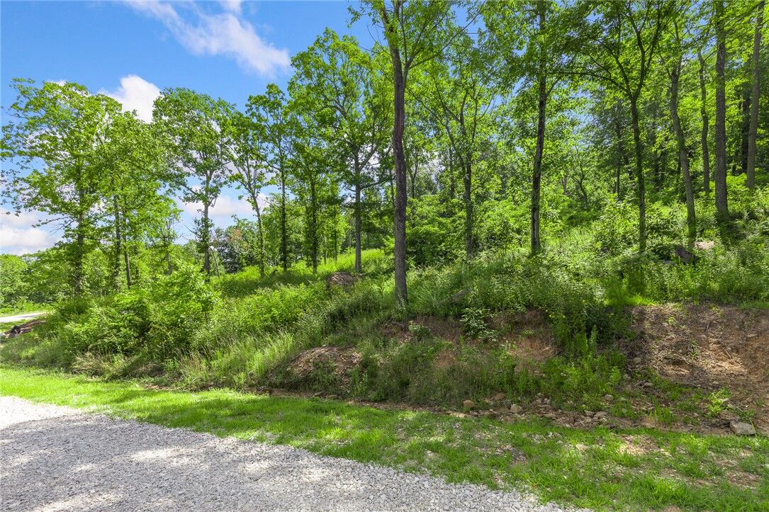 Property Photo:  Lot 46 Restore Ridge  AR 72601 