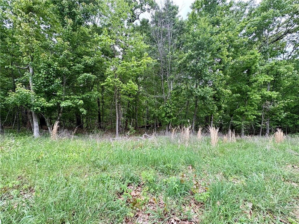 Property Photo:  Lot 4 Devonshire Road  AR 72715 