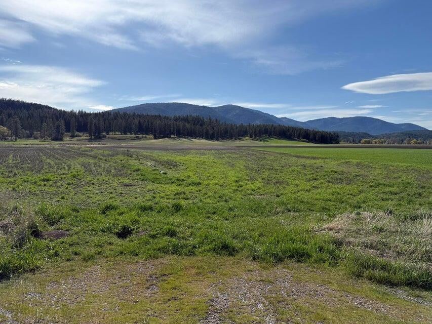 Property Photo:  Tbd Zimmer Rd  WA 99101 