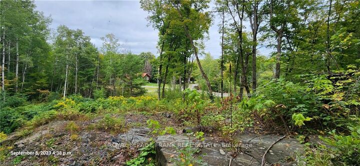 Property Photo: 169 Northern Avenue ON K0M 1A0