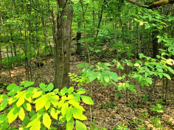 Property Photo: 26 Mount Vernon Trail 19 ON P1H 1E3