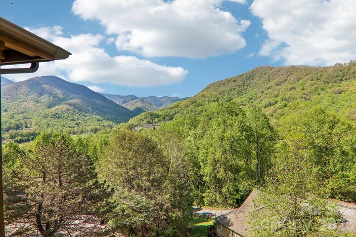Property Photo:  348 Valley Creek Drive  NC 28751 