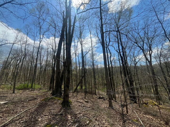 Property Photo:  14040 Pinewood Trail NE Road  OH 43055 