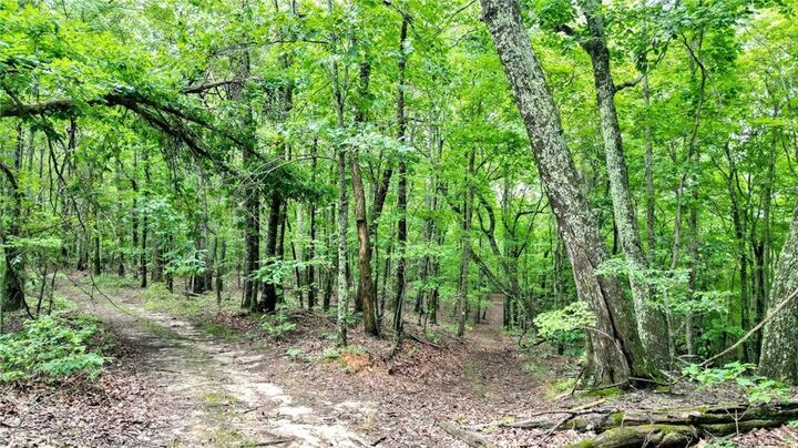 Property Photo:  Trt B Cascade Drive  GA 30143 