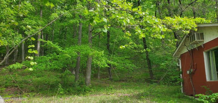 Property Photo:  2740 Brier Creek Rd  KY 42259 