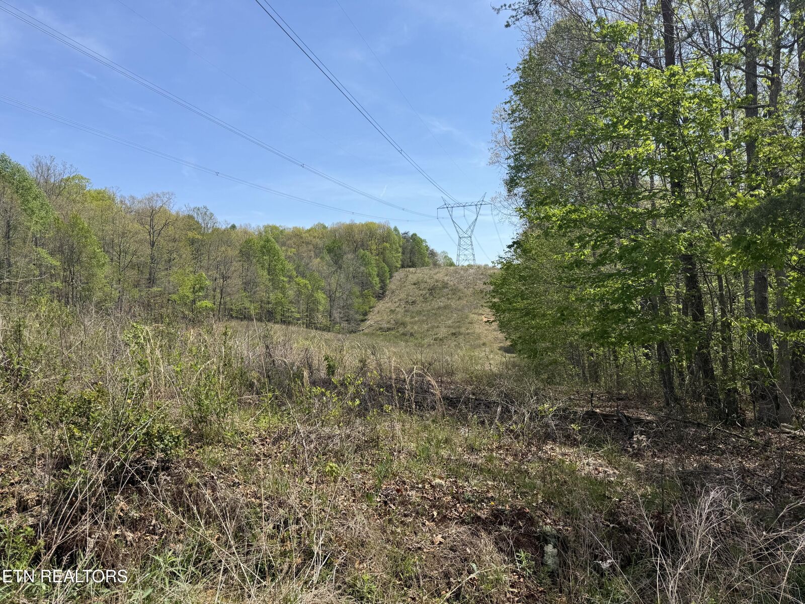 Property Photo:  0 T Rd  TN 38574 