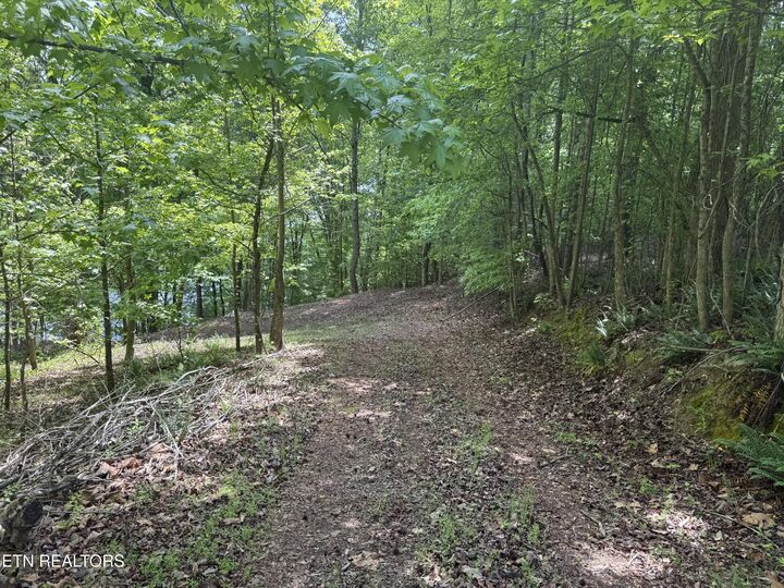 Property Photo:  28 Indian Shadows Drive 28  TN 37880 