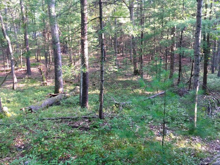 Property Photo: 55 Old Plank Road NY 12780