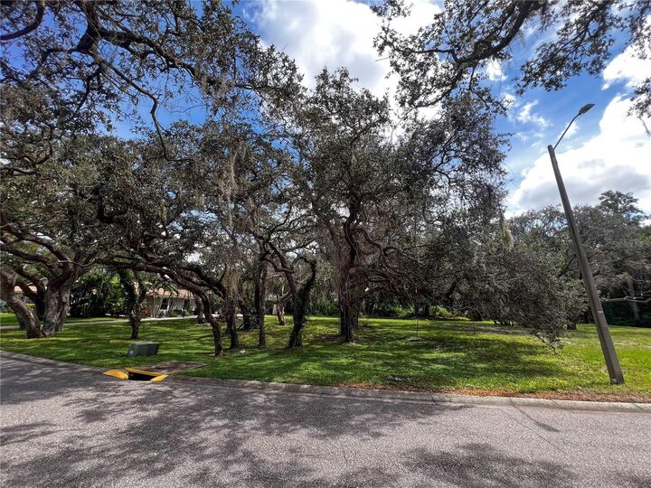 Property Photo:  0 Tampa Road  FL 34684 