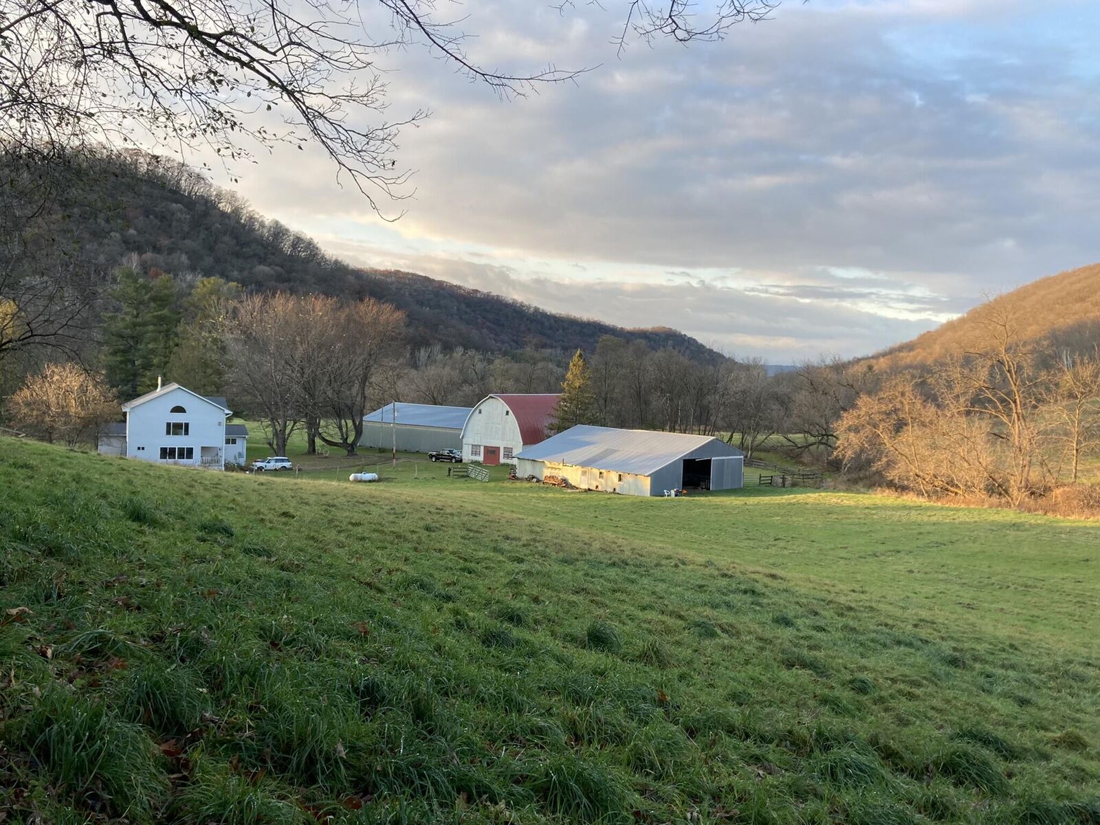 Property Photo:  36415 Homer Valley Ln  MN 55987 