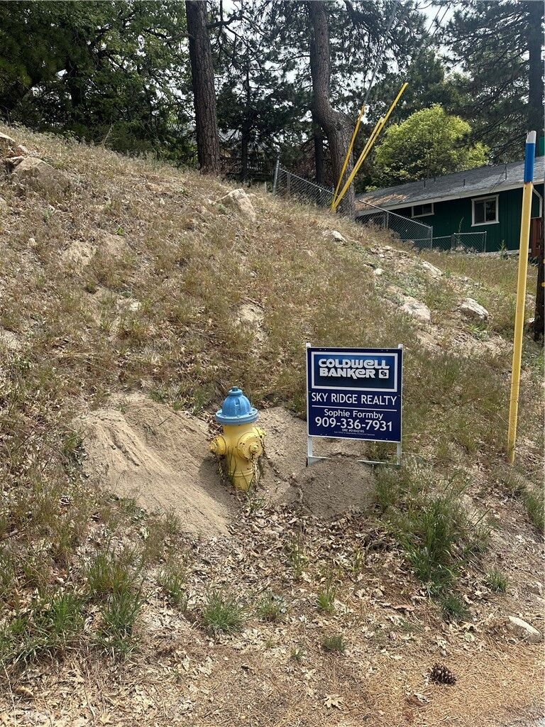 Property Photo:  0 Deer Lick Lane  CA 92382 