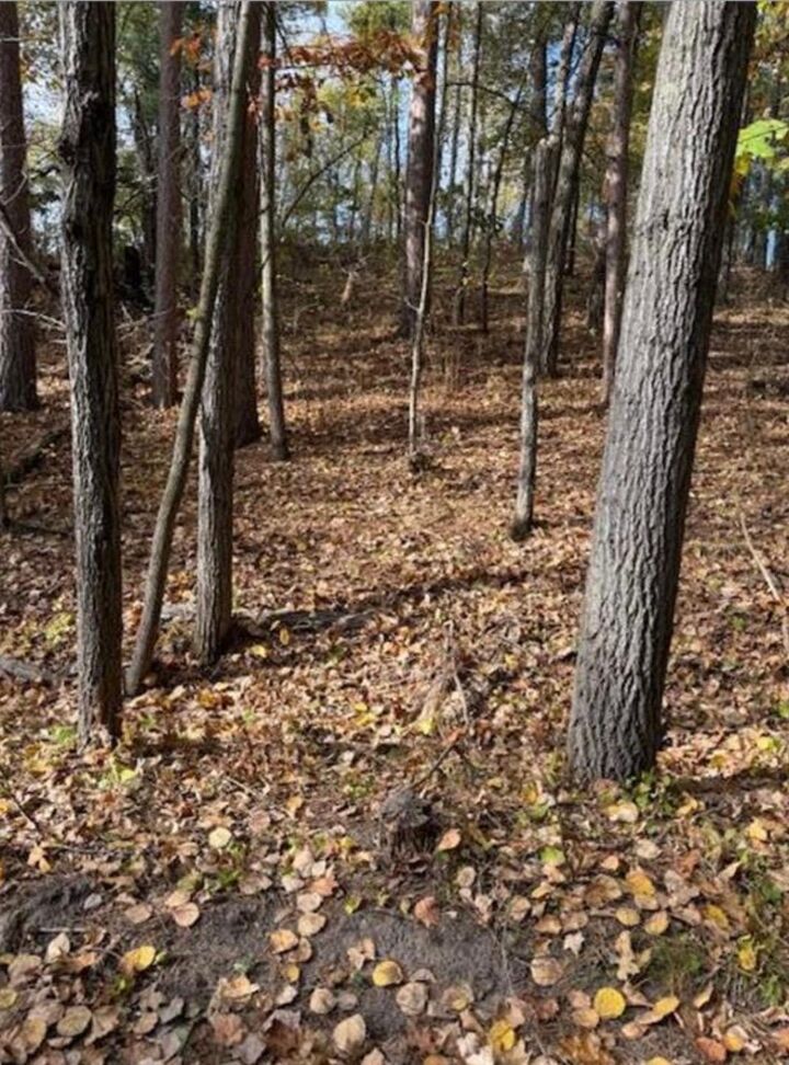 Property Photo:  1380 Little John Road  MN 56468 