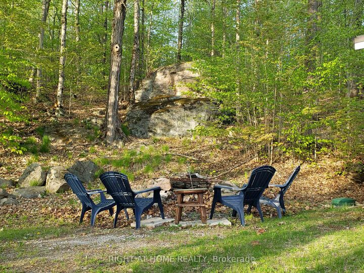Property Photo: 16366 Hwy 35 N/A ON K0M 2K0