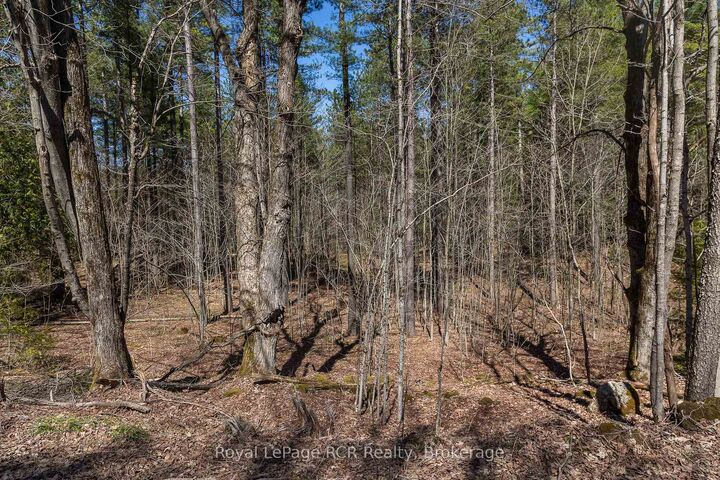 Property Photo:  Lot 53/54 West Back Line  ON N0C 1H0 