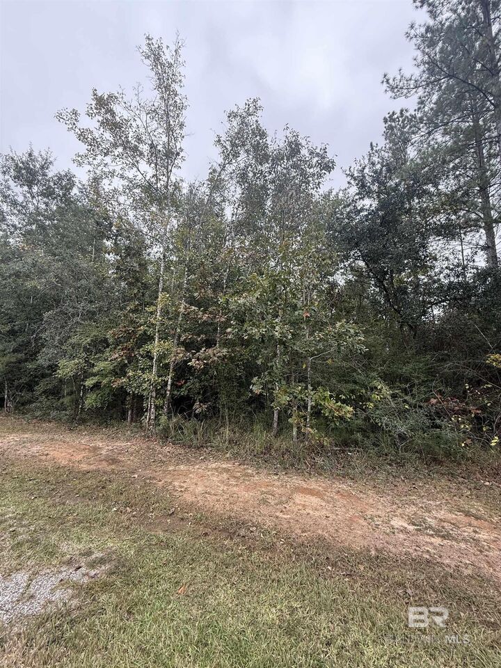 Property Photo:  36636 Legacy Way  AL 36507 