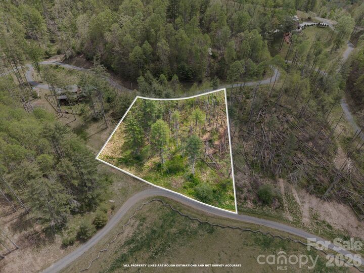 Property Photo:  00000 White Pine Lane 19  NC 28705 