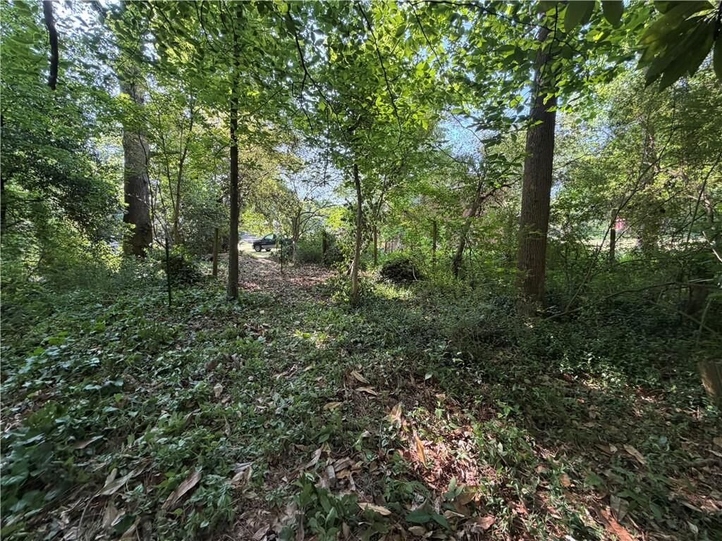 Property Photo: 0 Manning Drive GA 30009
