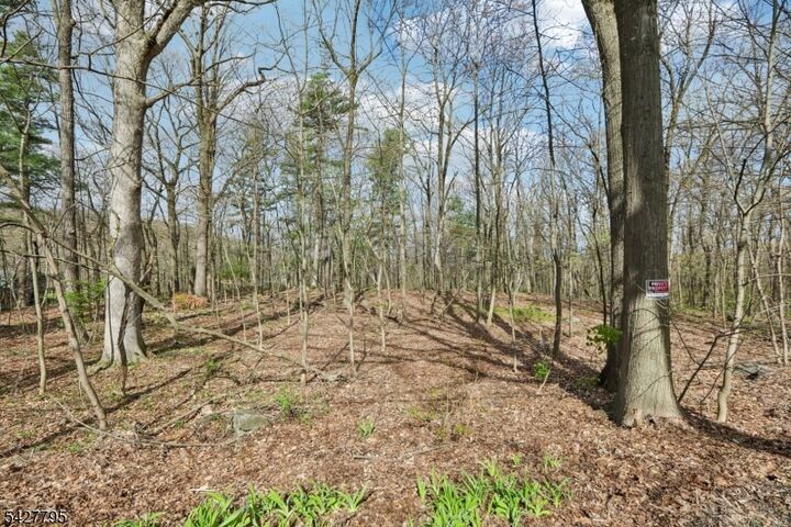 Property Photo: 11 Alamoosook Rd NJ 07422