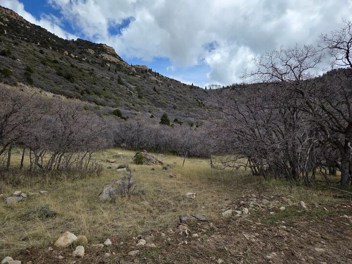 Property Photo:  E Cedar Highlands Dr  UT 84720 