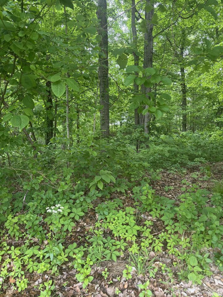 Property Photo:  6477 Water Stone Court  IN 47630 