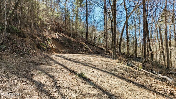 Property Photo:  Carrs Creek Rd  TN 37882 