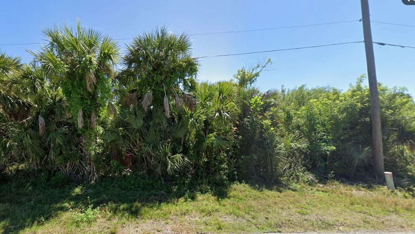 Property Photo:  12379 Cole Avenue  FL 33981 