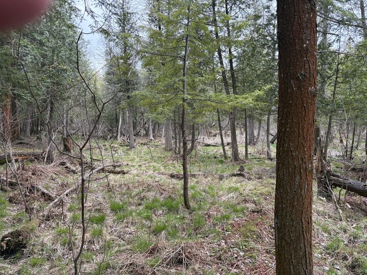 Property Photo:  2.27 Acres W Shelby Road  MI 49455 